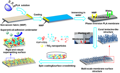 寧波材料所聚合物微孔膜剛性界面構(gòu)造及油水分離研究獲進(jìn)展
