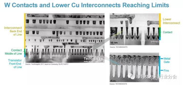 大數(shù)據(jù)驅(qū)動下的人工智能時代 功能涂料的機遇與立足之道